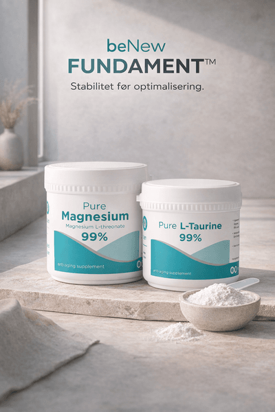 Hovedbilde beNew Fundament